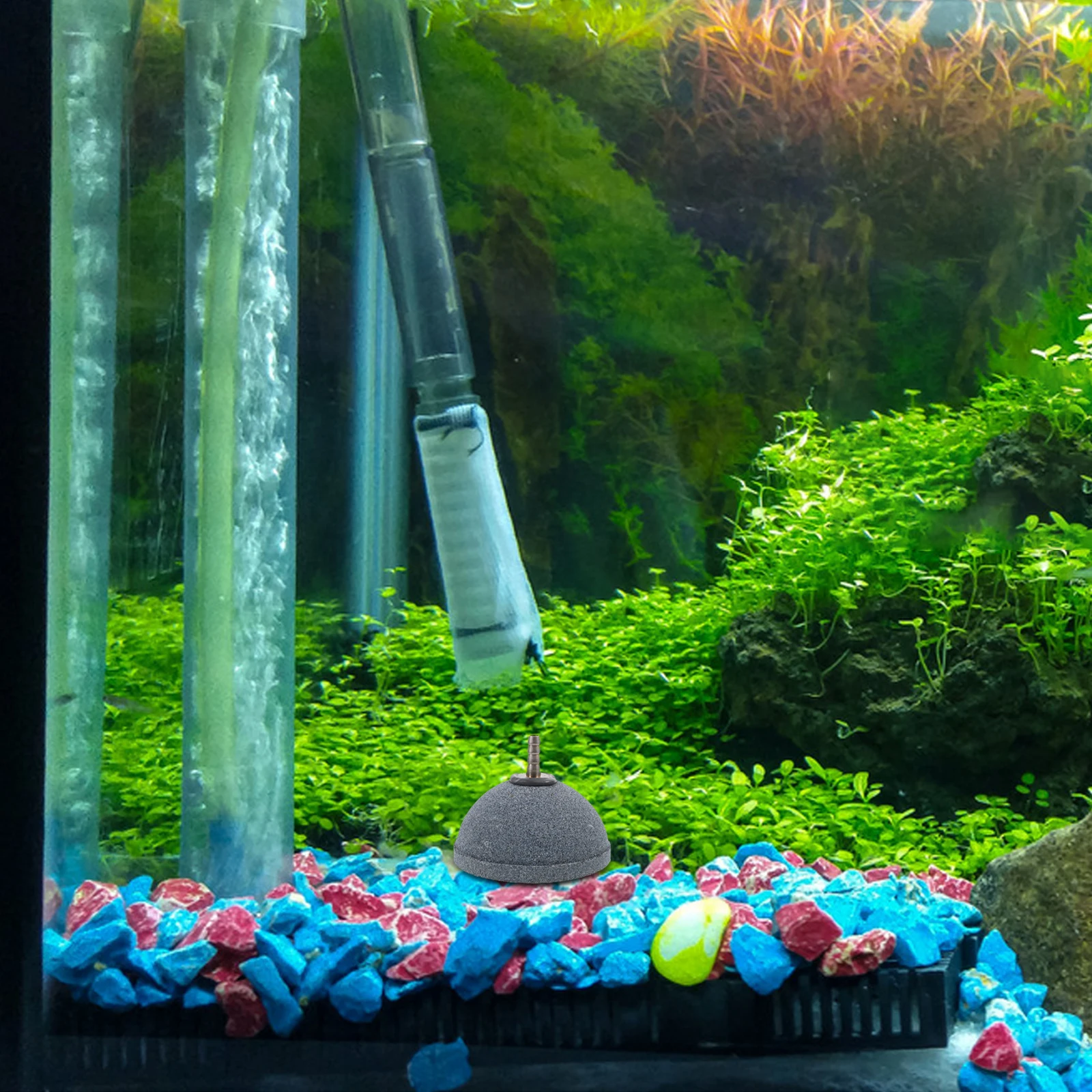

Fish Tank Aquarium Bubbler Diffuser Oxygenation Pond Aerator Hydroponics Pump Quiet Durable Bubbles Even Distribution For