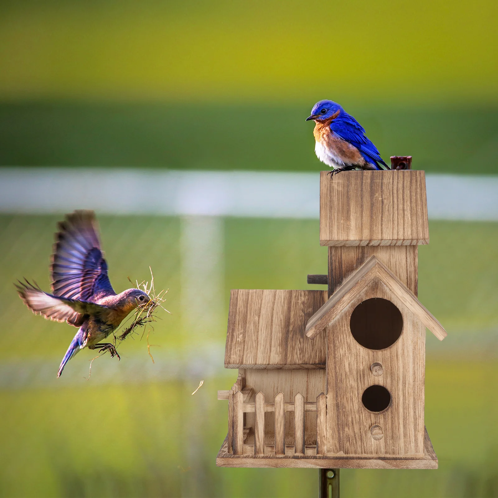 

Unique Wooden Bird Nesting Cottage For Parrots Bluebirds Sparrows Outdoor Style