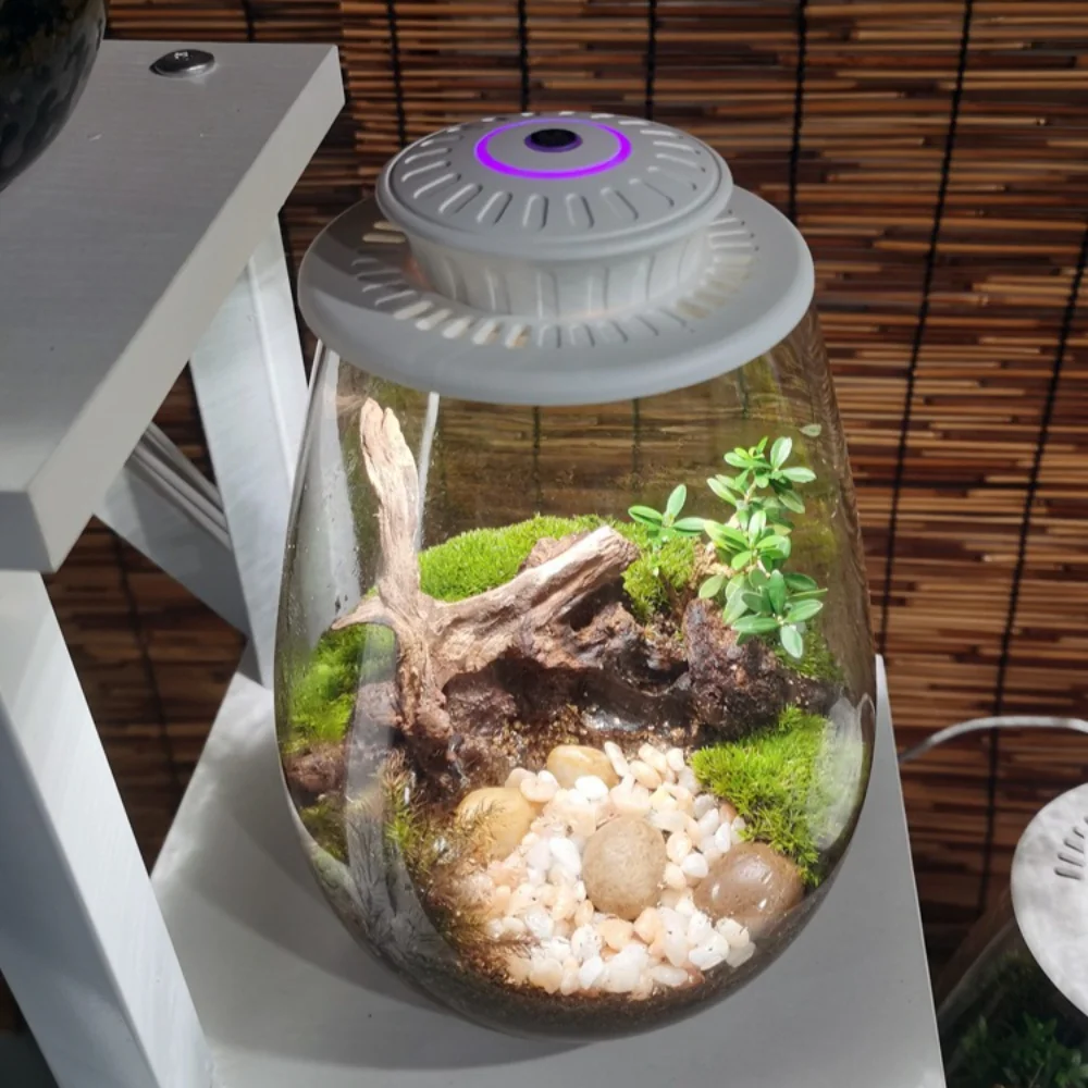 6500K Miniature Landscape Plant Grow Light 3W Moss Terrarium Plant Light with Smart Timer Feature Plant Light for Indoor Plants