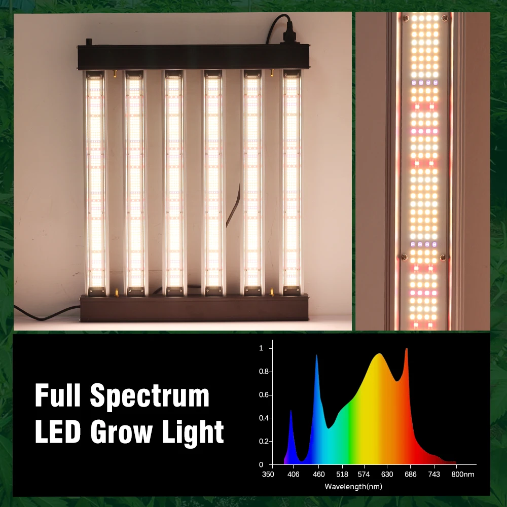 Luz LED de espectro completo para cultivo de flores, 200W, 300W, IP65, LM281B, alto brillo, para tiendas verdes