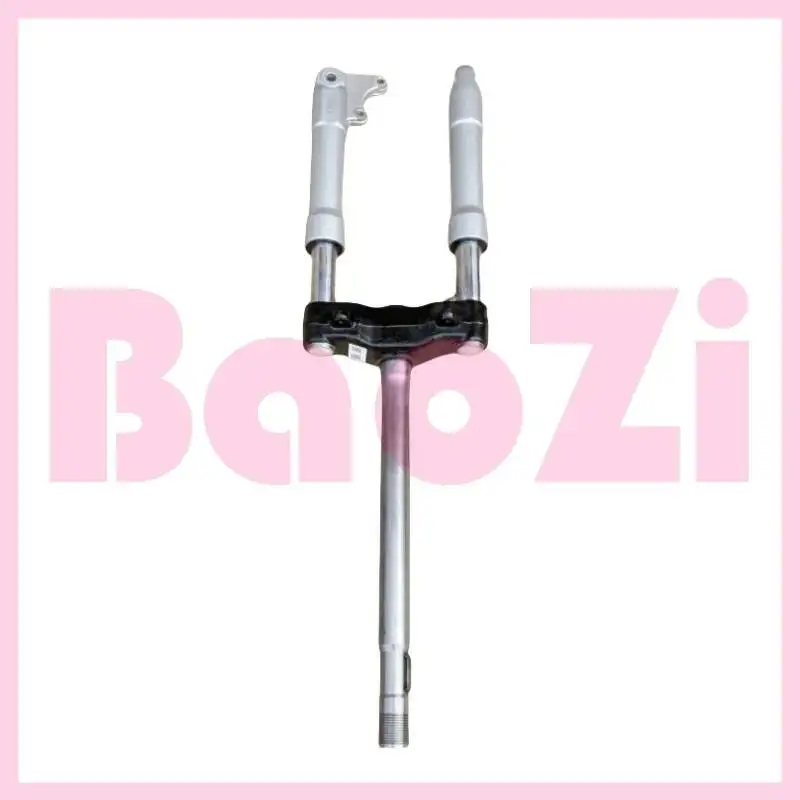 

Front Shock Absorber Assembly for Piaggio Byq100t-e Byq100t-v