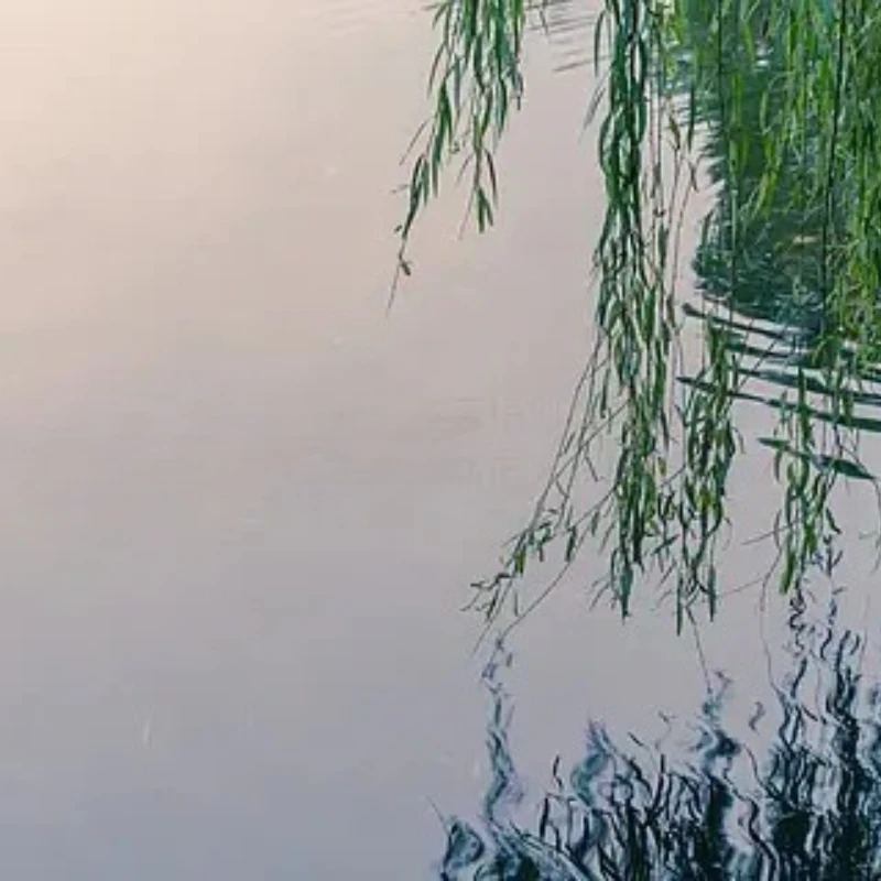 

ToolkitRC M8AC AC 200W DC 600W 65W IPS 2.4 Inch LCD Screen Chargerfor 1-8S LiPo LiHV LiFe Lilon LTO 1-12S Pb 1-20S NiMH Battery