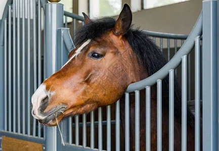 Very horse friendly stalls Good indoor use Easy to clean Bamboo wood insulation and warmth Premium look Horse Farms