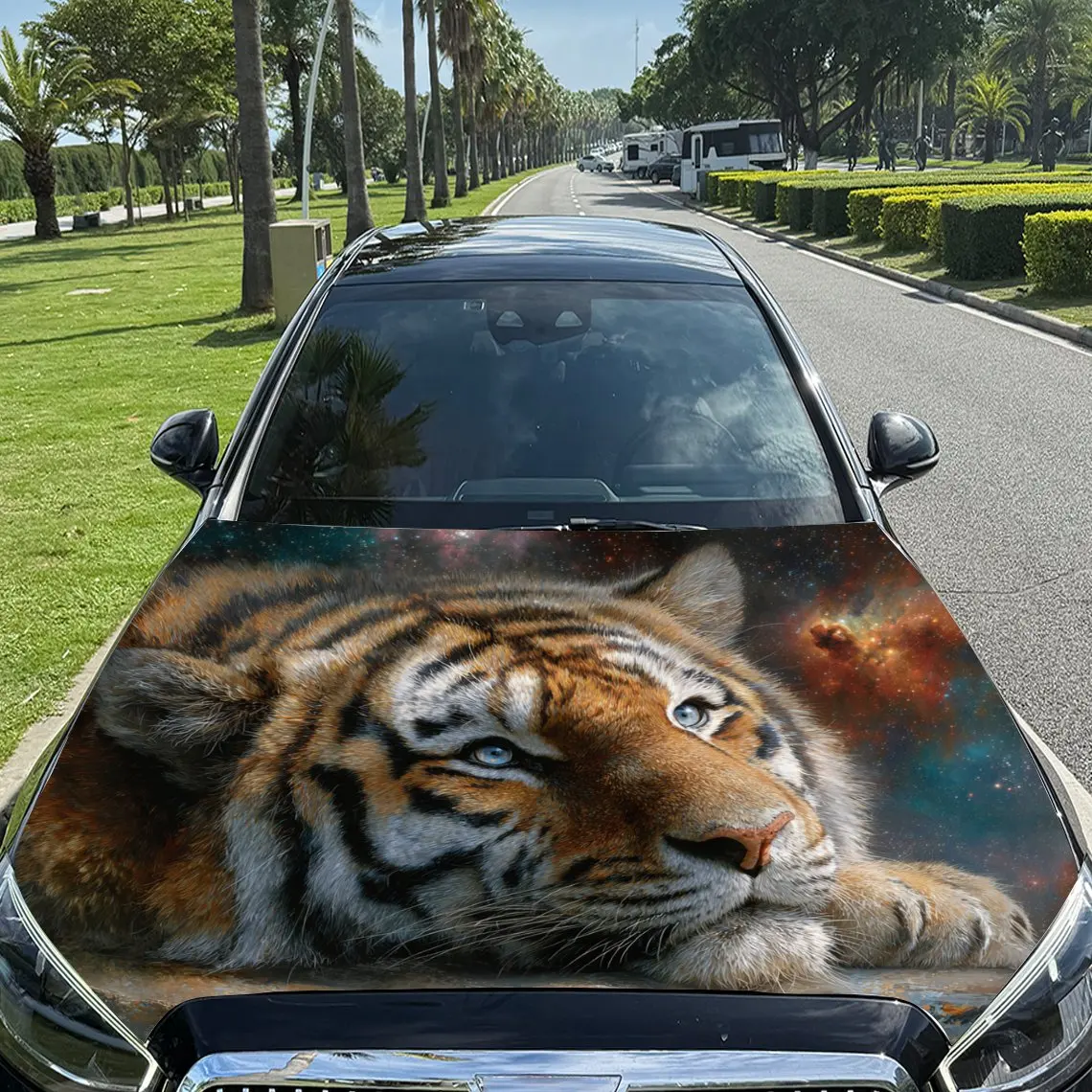 Autocollants de voiture tigre avec une libération, autocollant de capot de voiture de fond aurore-bouclé et qui souffle dans la nature, auto-adhésif imperméable
