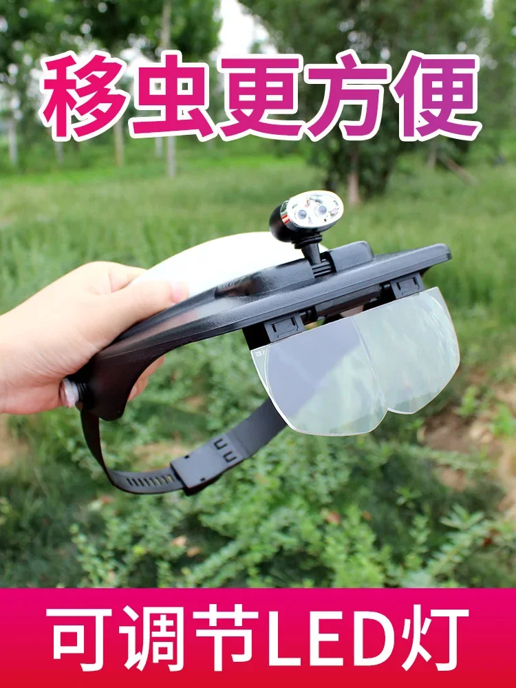 Bee relocation magnifying glass LED headlamp head-mounted magnifying glass bee breeding king relocation beekeeping tool