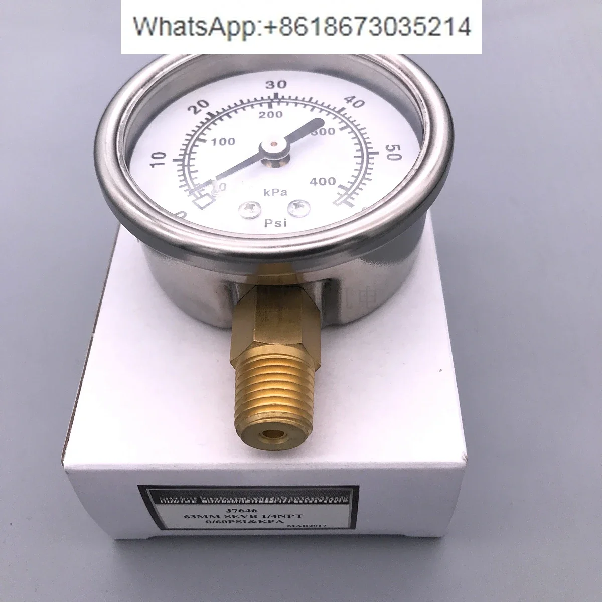 Stainless steel pressure Radial gauge 2.5 inch 63mm 15 30 60 100 160 200 600PSI