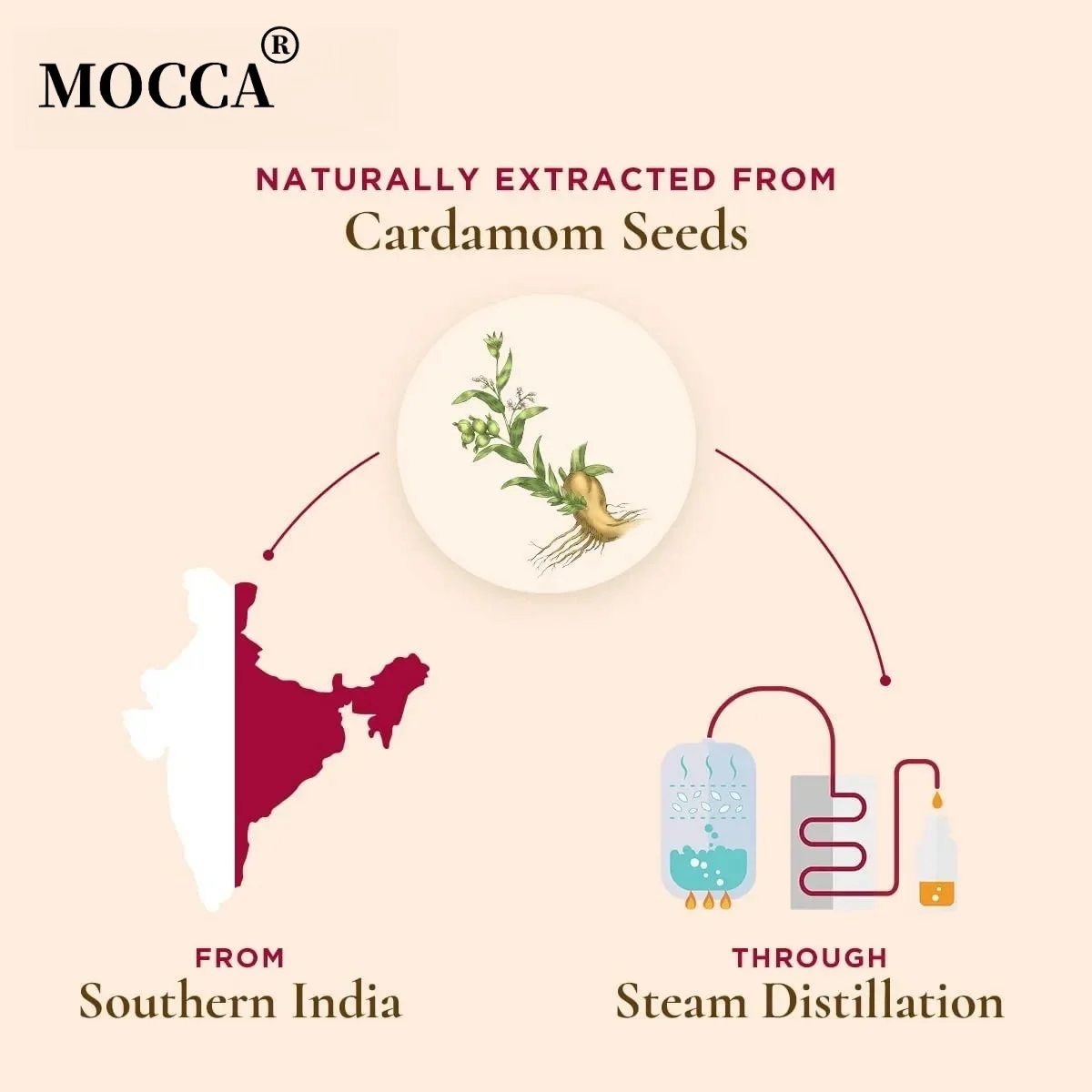 Cardamom Essential Oil (30ml) - Spicy & Slightly Sweet Scent