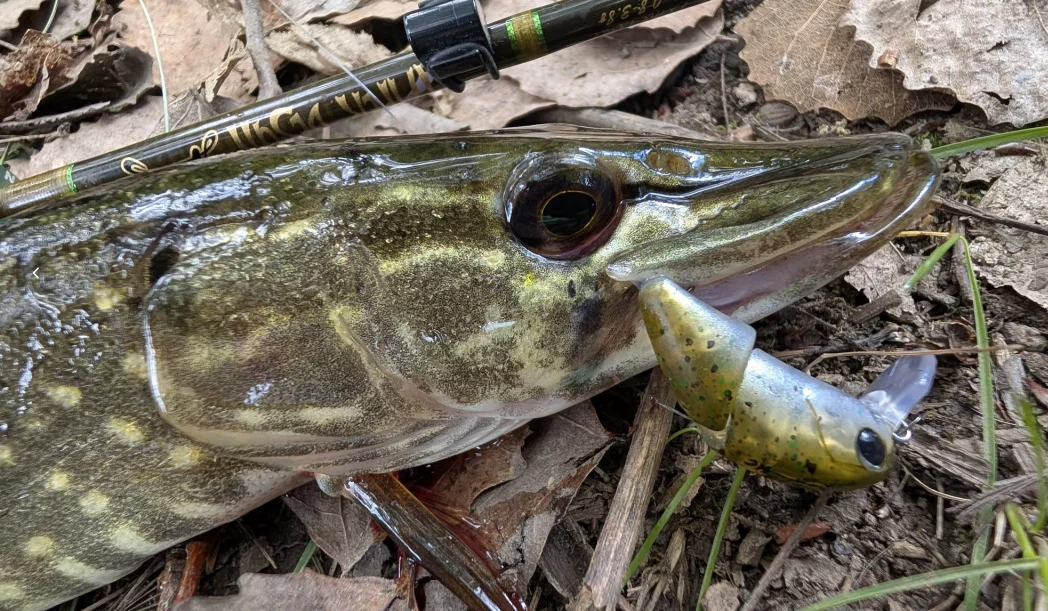 Kingdom Micro Expert Angelköder 2,3g 37mm Mehrteiliger Schwimmender Minnow Künstlicher Harter Köder Swimbait Oberflächenköder Crankbait Forellenköder – Detail 2