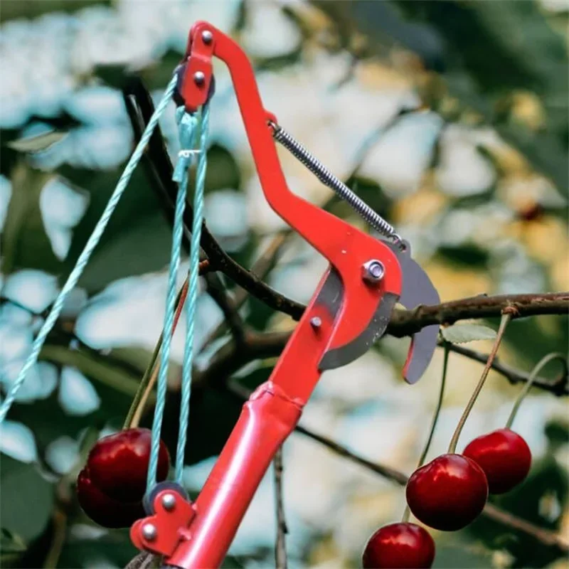1PC Hochhöhe Verlängerung Astschere Zweig Schere Ausziehbare Obst Baum Astsäge Cutter Garten Trimmer Werkzeug Mit Seil – Detail 5
