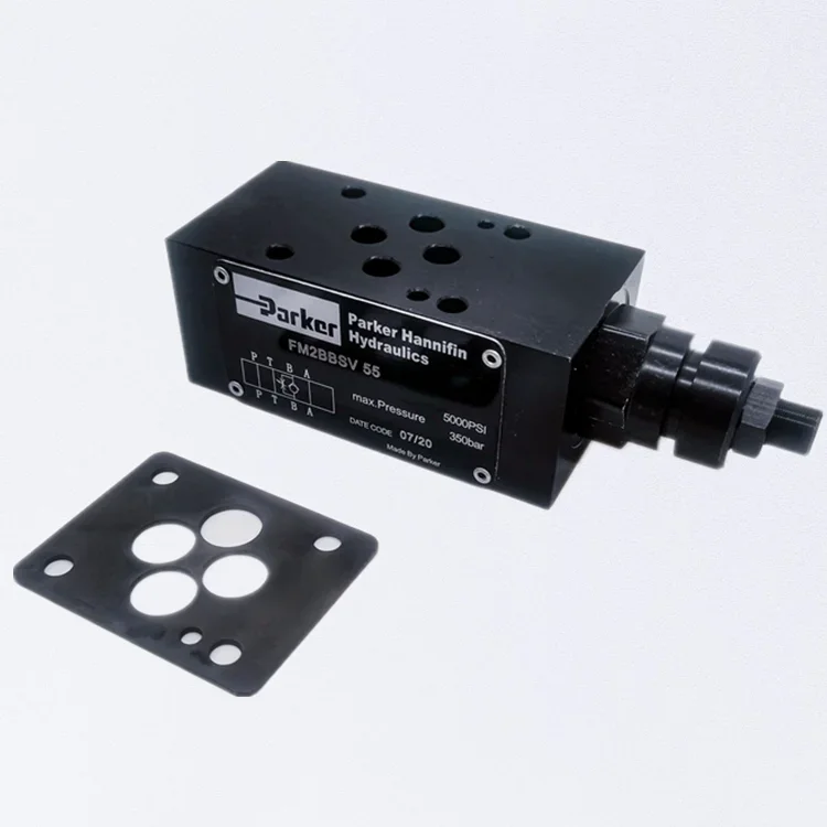 Uitstekende Kwaliteit Dubbel/Gasklep Terugslagkleppen Gietijzer Hydraulische Klep Fm6ddkv