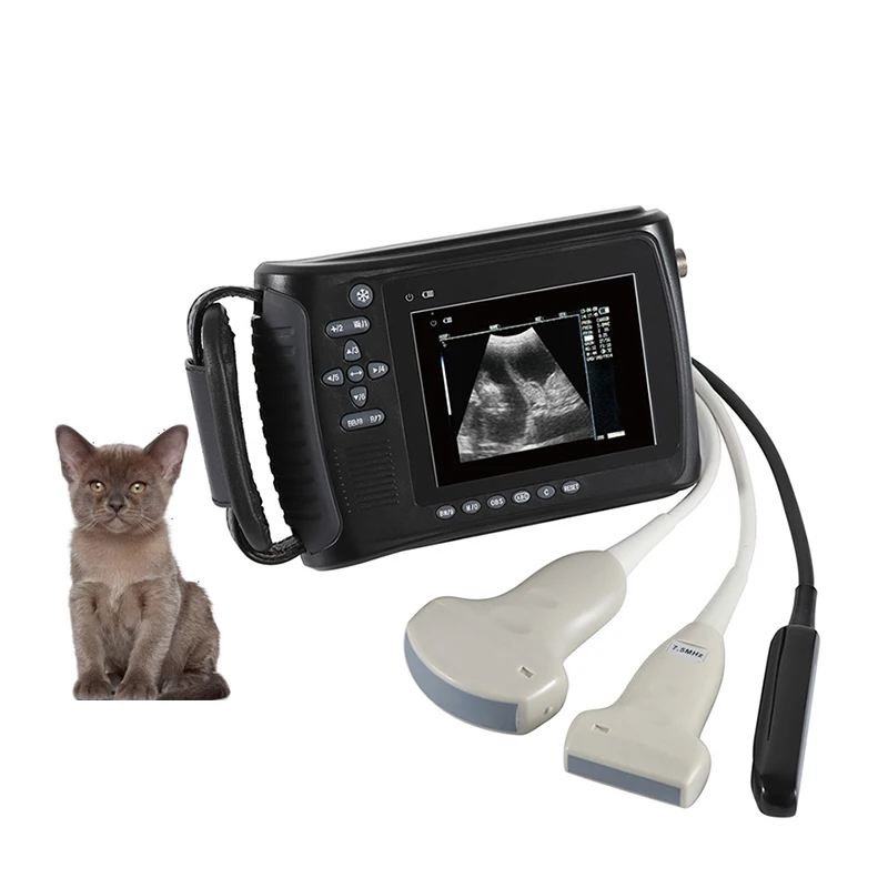 EUR VET Physical Echography Equipment Bovine Veterinary Portable Ultrasound Scanner Vet