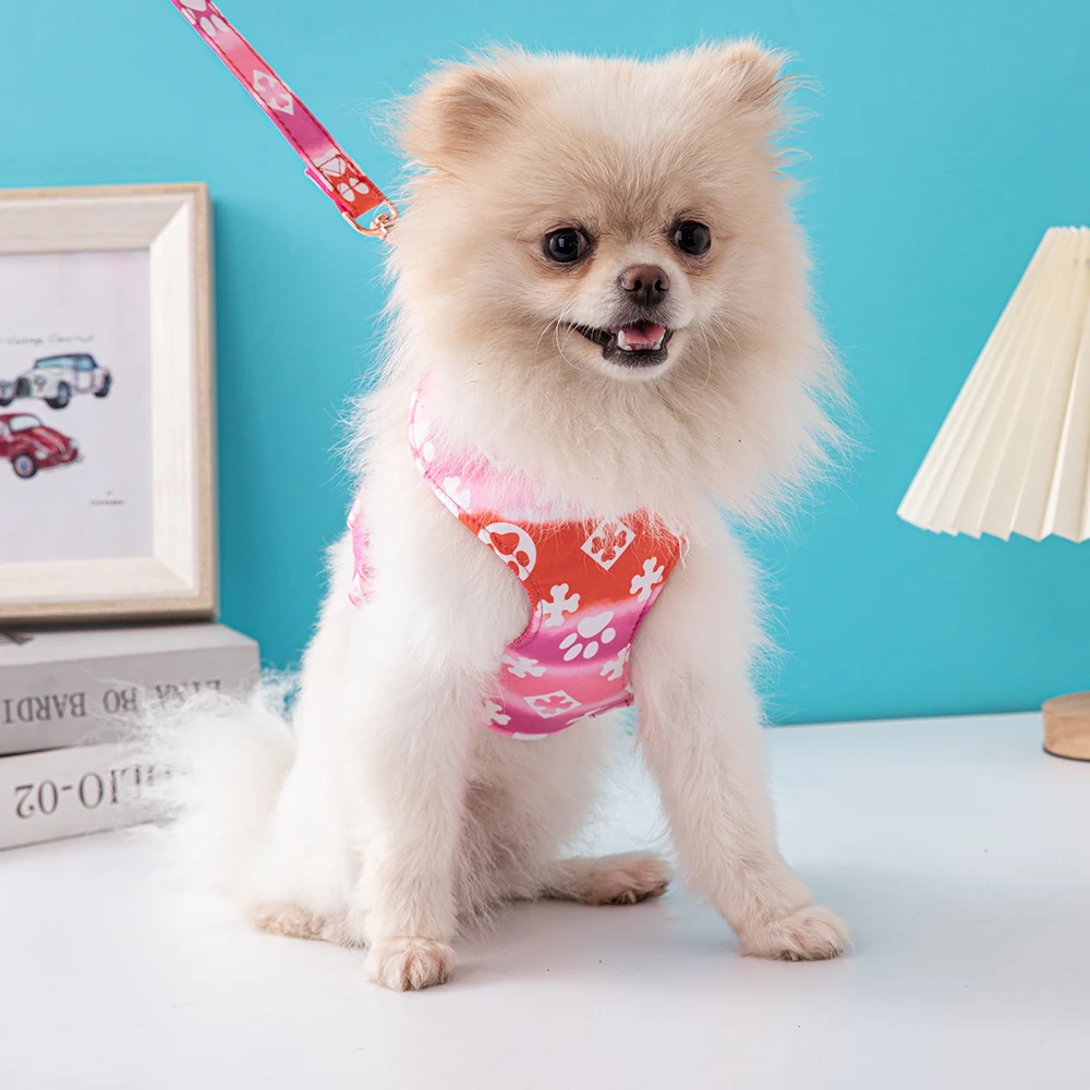 Harnas Hond Aangelijnd Set Kat Vest Pug Leash Walking Tool Wandelen Lead Hond Accessoires Pet Supplies ZY1012