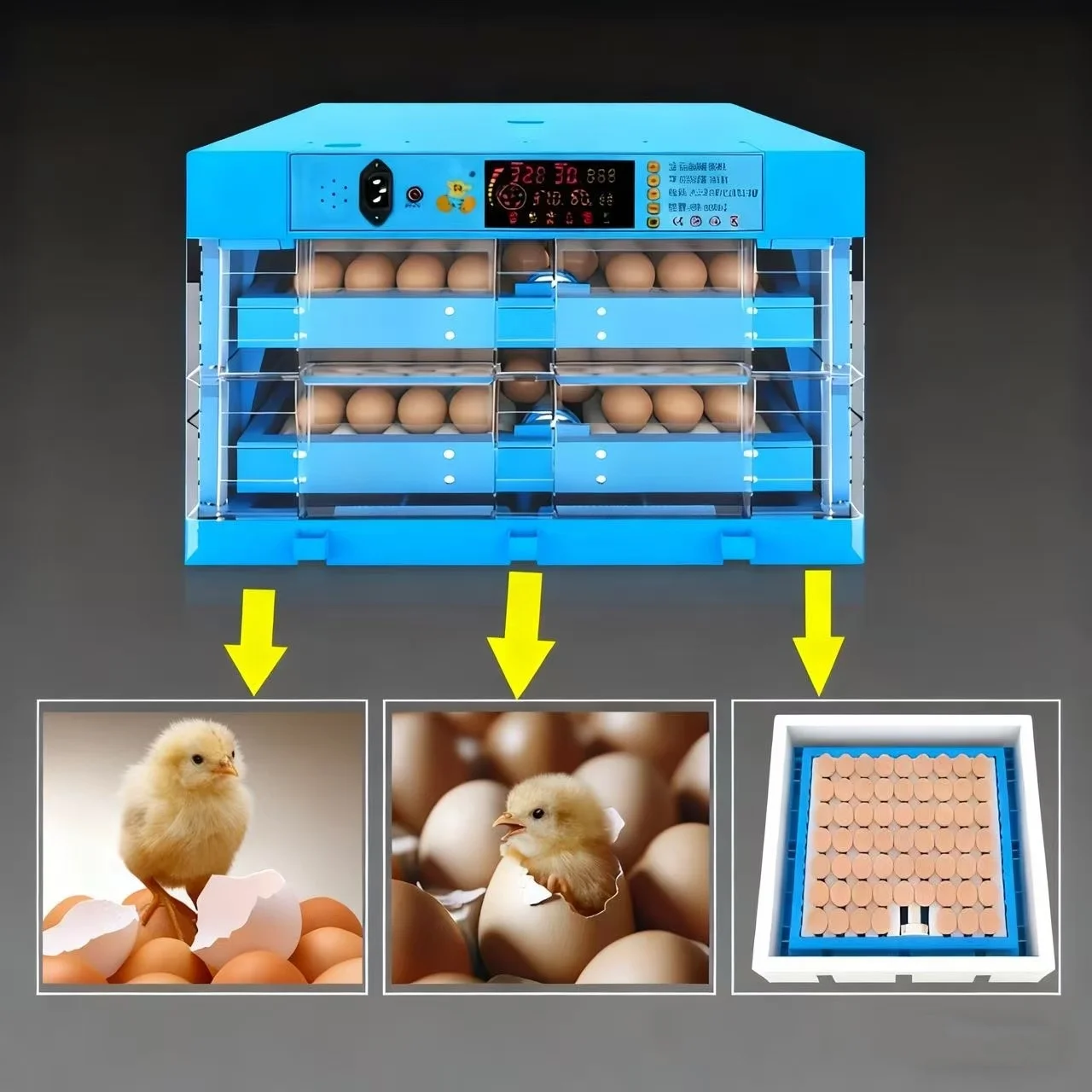 

Fully Automatic Small-Sized Incubator 98% Hatching Rate Dual Power Supply (110V/220V-240V) for Home Use Hatching Chicken