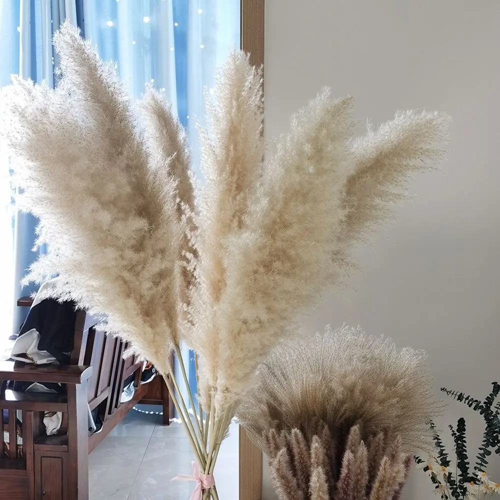 

80cm Pampas Grass Branches for Vase Fluffy Dried Flower Arrangement Decoration Wedding Natural Dried Plants Flowers Bouquet