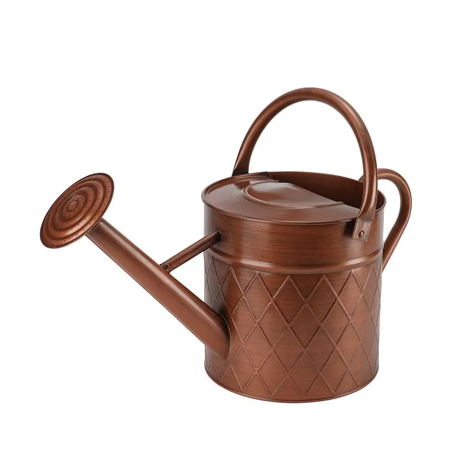 

Gallon Outdoor Metal Watering Can for Garden Plants,Copper Color Watering Can with Removable Spray Spout, Ideal for Outdoor Use