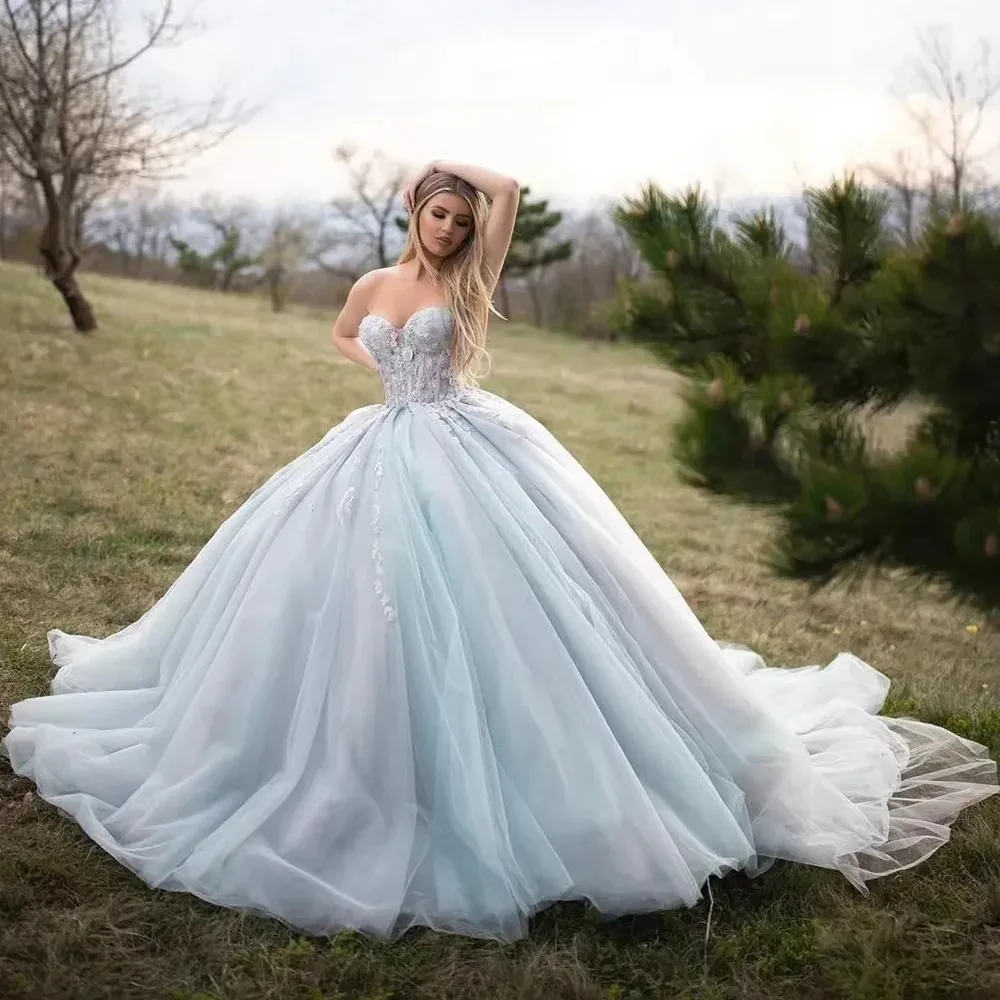 

Customized Baby Blue Wedding Dress Elegant Ball Gown For Pretty Women Organza Appliques Sleeveless Sweetheart Vestido De Novia