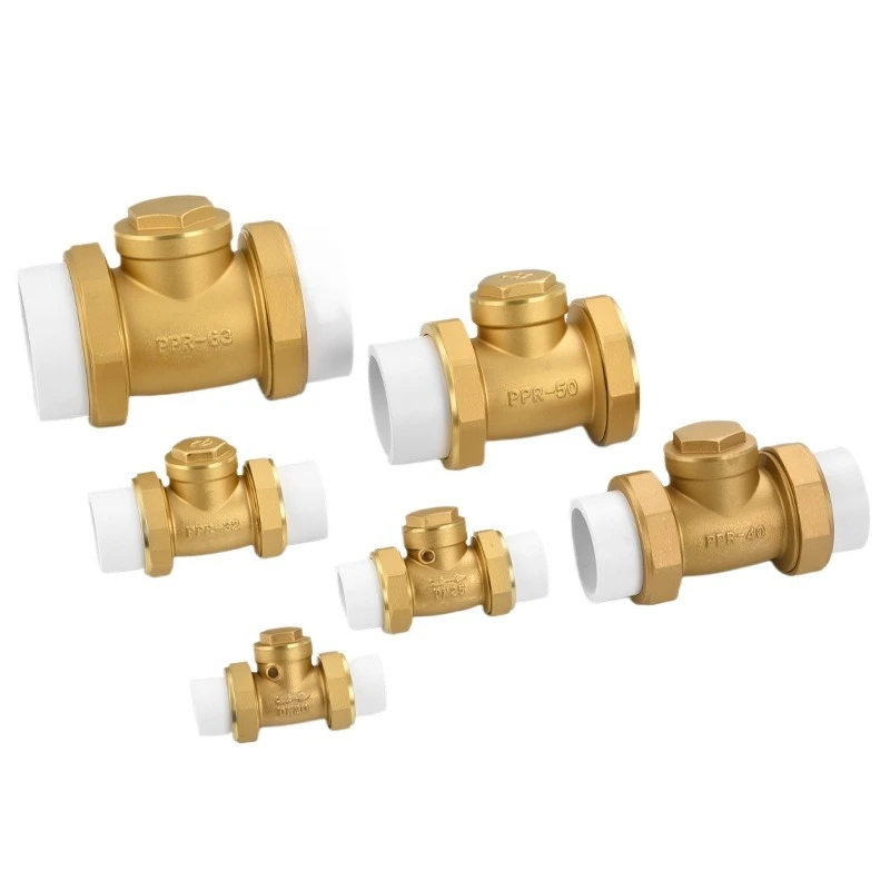 Brass check valve horizontal PPR check valve one-way check all copper reverse water