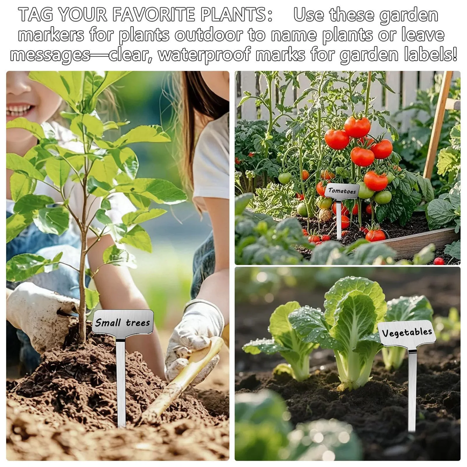 stainless-steel-plant-labels-garden-markers-for-flowers-herbs-vegetables-durable-rust-proof