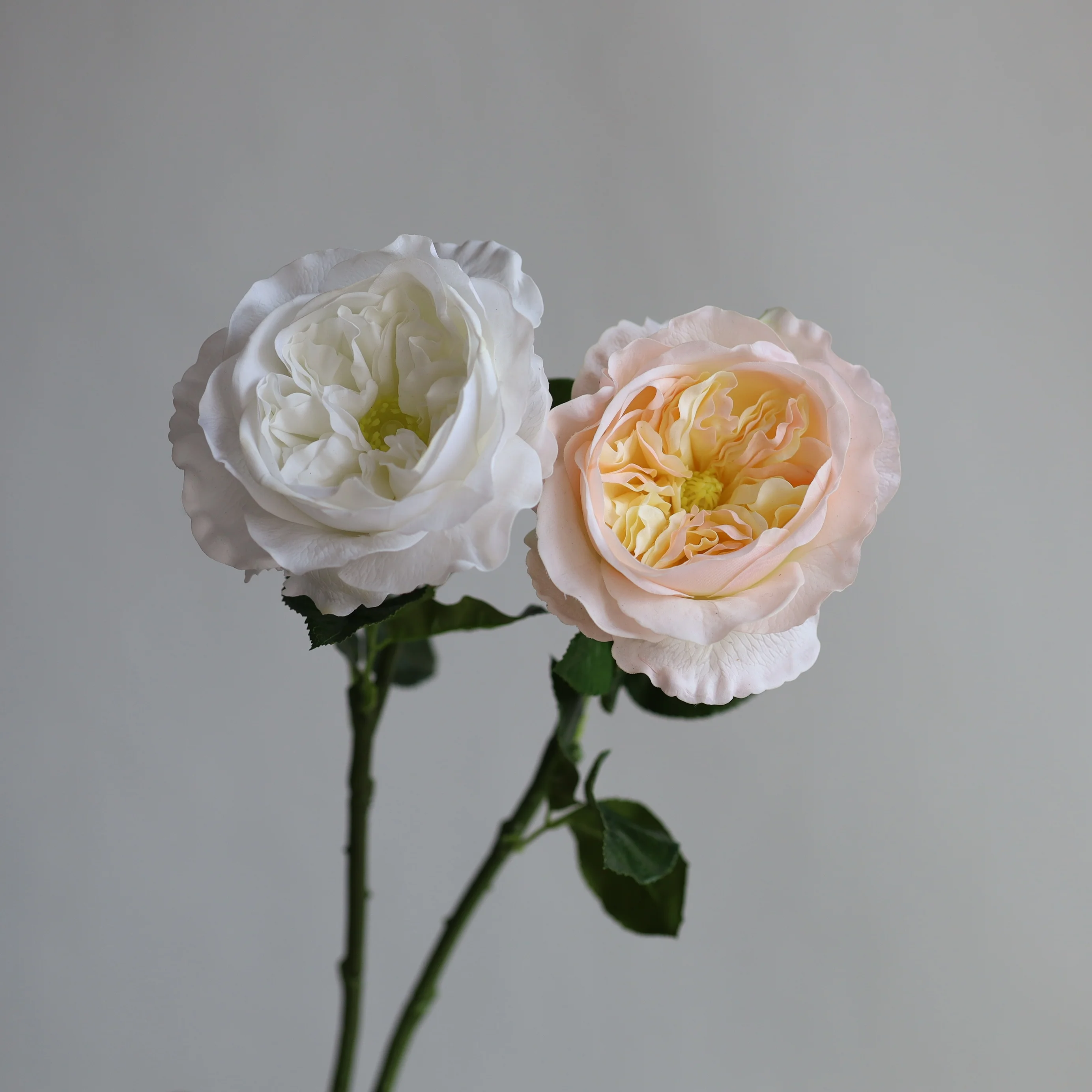 21.6” Fake Large Real Touch English Cabbage Roses-White/Champagne, Realistic Fake Flowers, DIY Florals |Wedding/Home Decorations