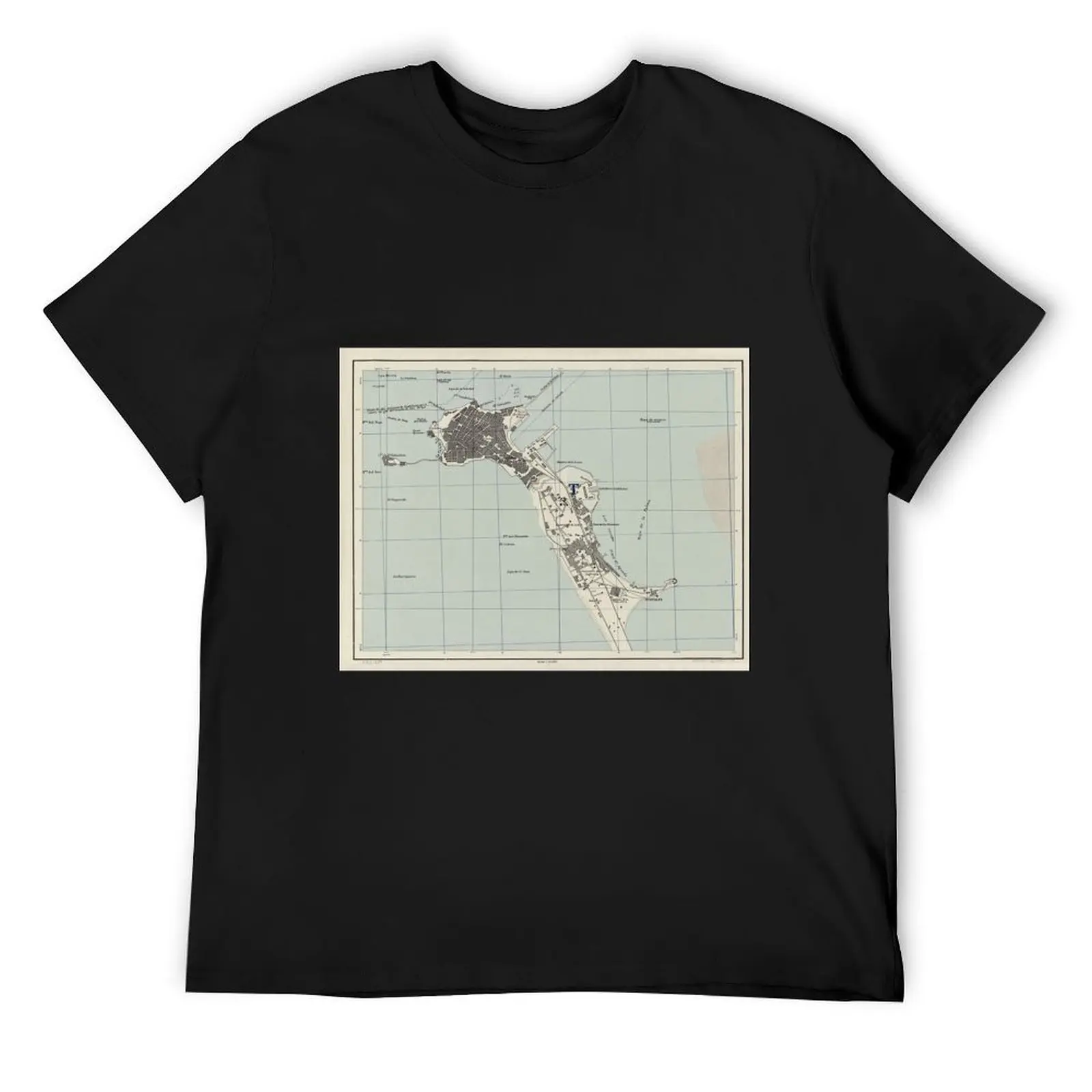 Vintage Map of Cadiz Spain (1943) T-Shirt aesthetic clothes anime figures baggy shirts mens vintage t shirts