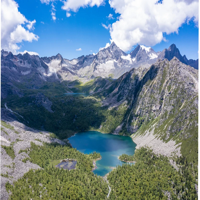 กล้อง FOXEER Predator V5 Mini FPV 4.5V~20V 0.01Lux อัตราส่วนภาพ 16:9/4:3 รองรับ PAL/NTSC ปรับเปลี่ยนได้ Super WDR OSD ความหน่วง 4ms สำหรับโดรนแข่ง RC