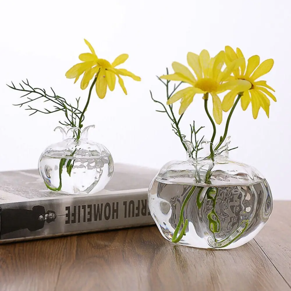 Vase en verre transparent pour les dirigeants d'avocat, kit de plantes pour les amateurs de jardinage