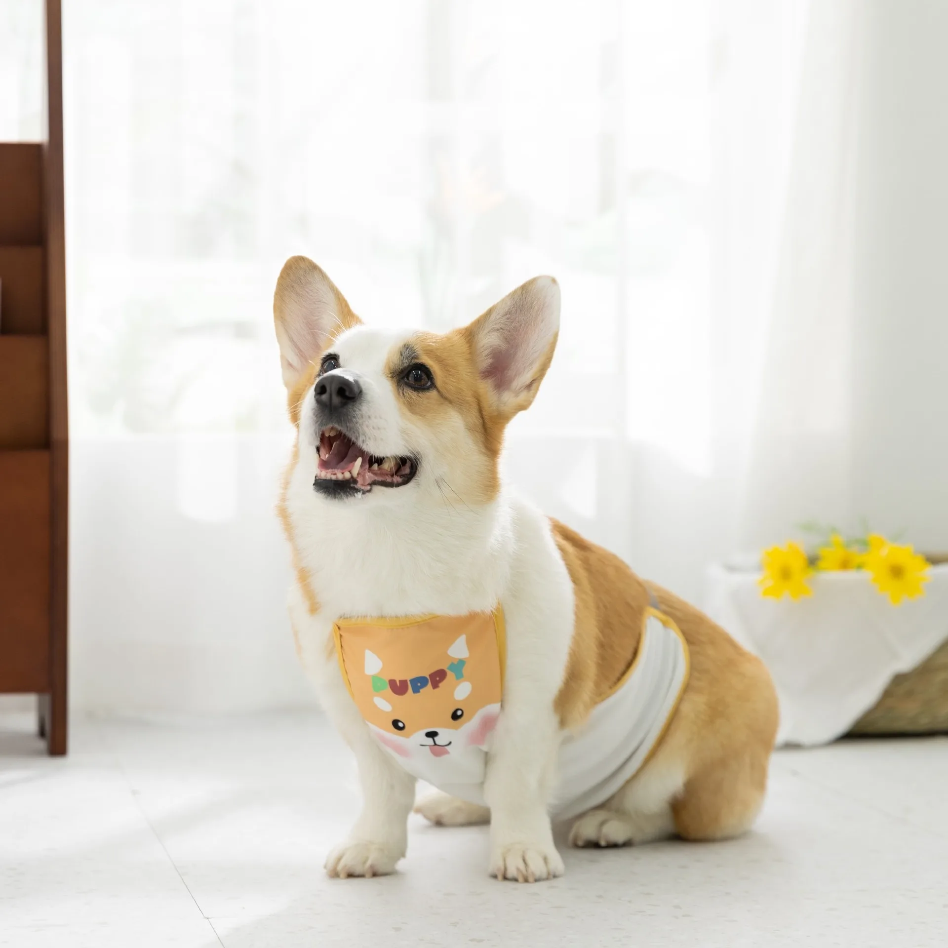 

Corgi Clothes Cartoon Waterproof Pet Clothes Summer Puppy Printed Belly Wrap Pet Dog Four Seasons Universal XS-L
