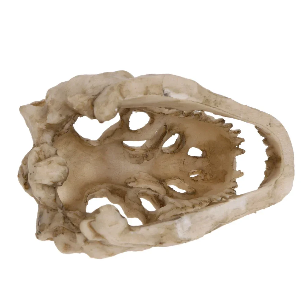 Mini Resin Dinosaur Fossil Aquarium Ornament for Fish Tank Decor