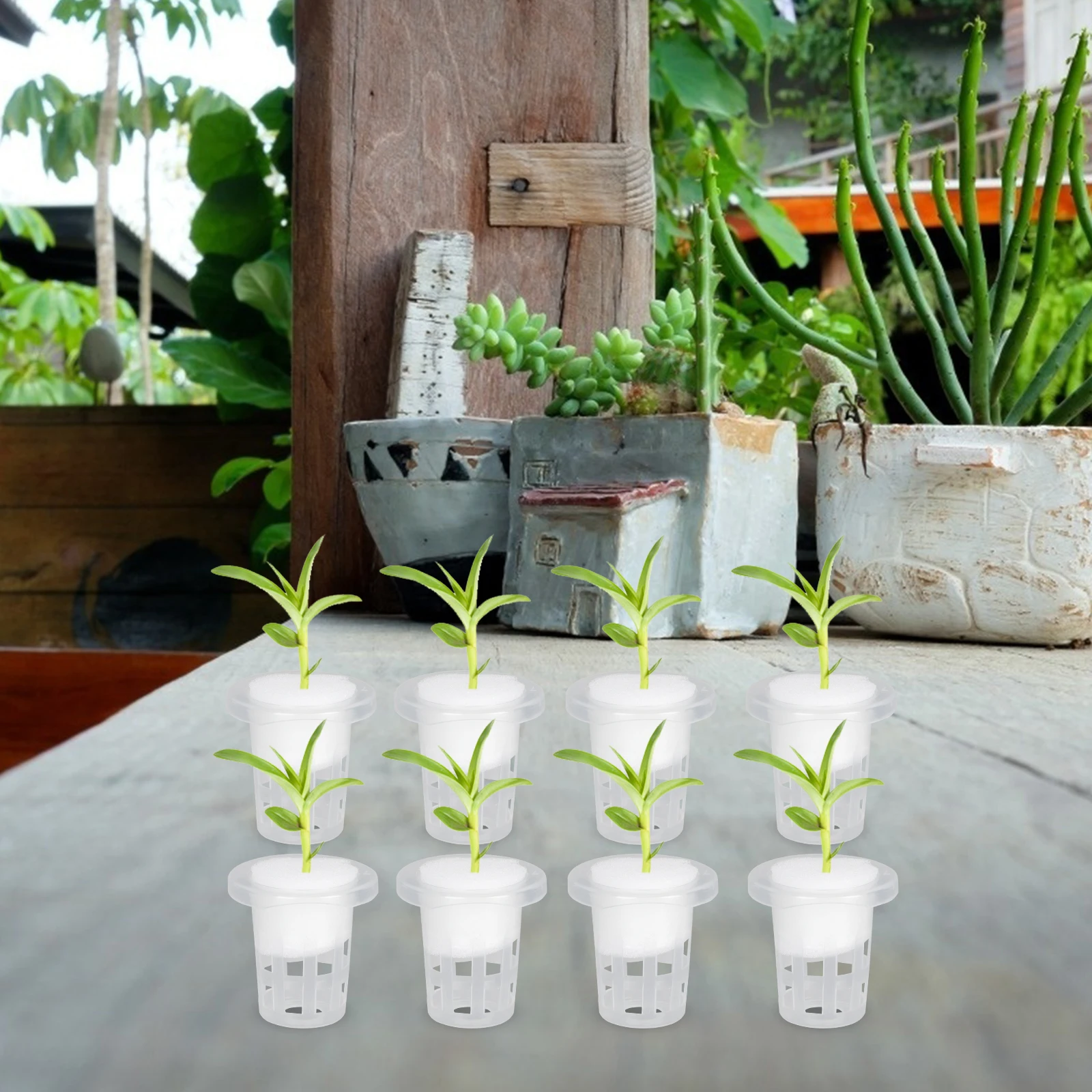 

100 pcs Hydroponic Planting Basket Soilless Cups Garden Supplies Root Pots Growth Baskets Germination Containers Vegetable