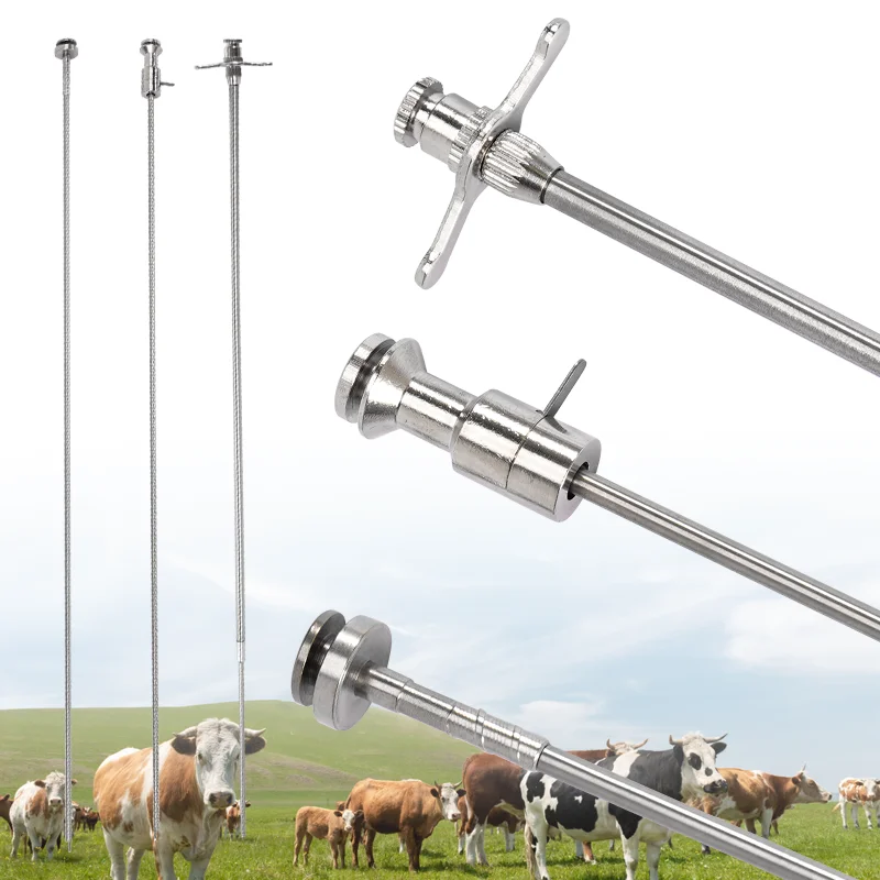 Besamungspistole für Rinder, Nutztierfarm, Tierzucht, künstliche Besamung, Tierarzt, Werkzeug zur Besamung von Rindern – Detail 1