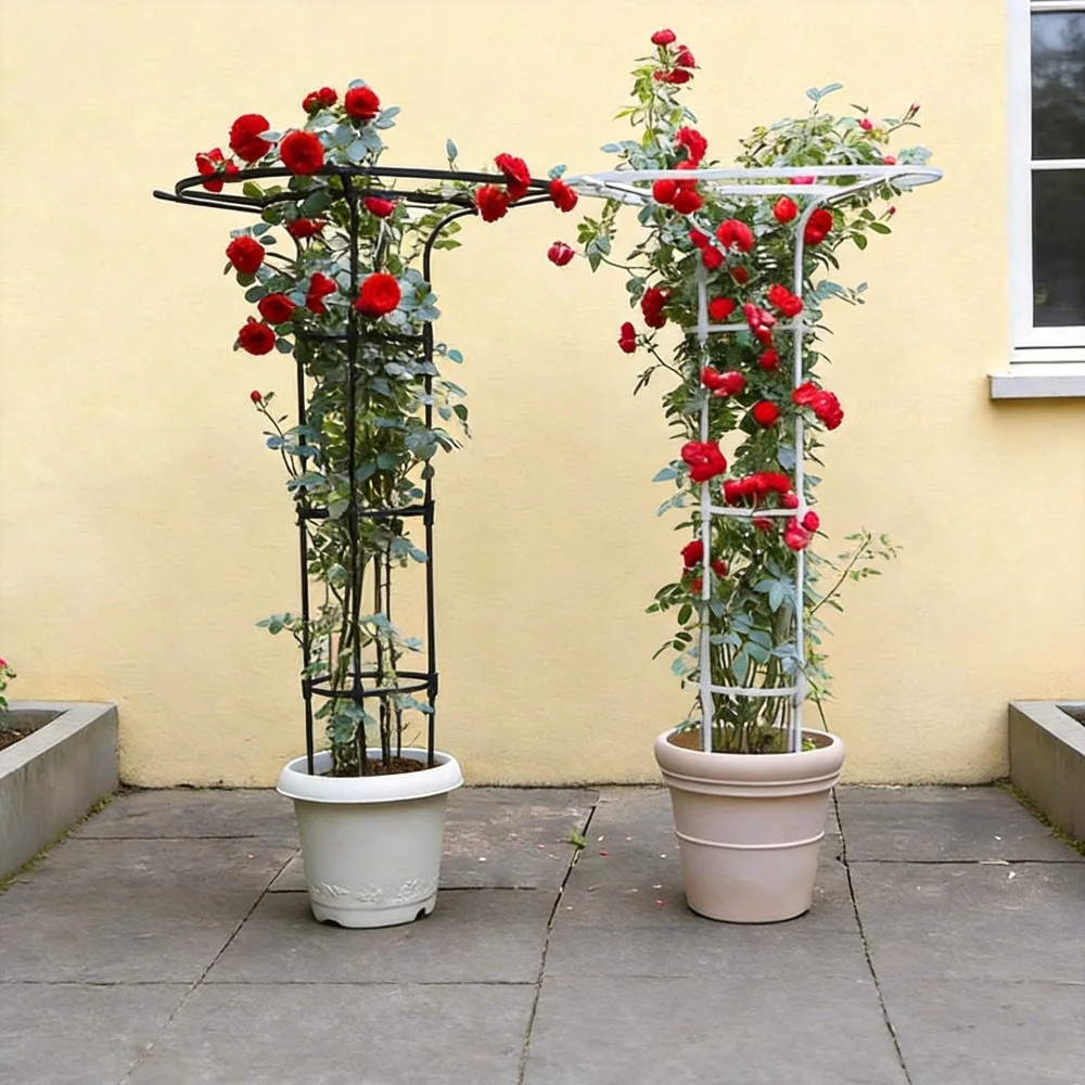 Umbrella-shaped Pergola Climbing Frame Climbing Rose Support Balcony Ivy Support Courtyard Outdoor Rose Ironwork Climbing Frame