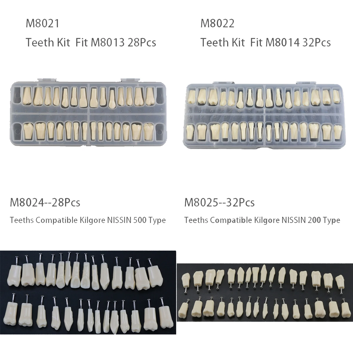 Teeth Dental Model 1: 1 Permanent Teeth Demonstration Fit Kilgore Nissin 200 500 Type Model Typodont With 28 32 Pcs Teeth