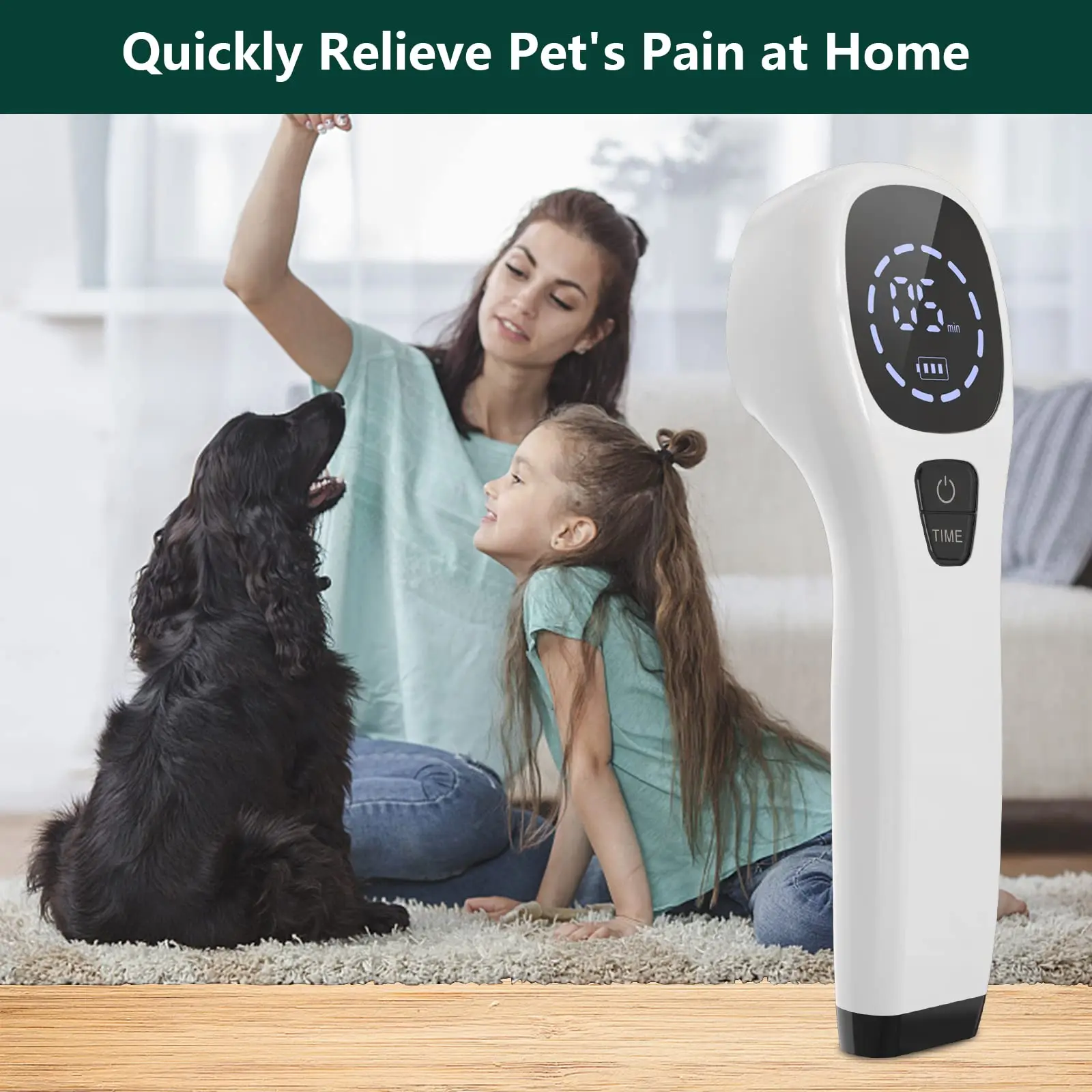 Cold Laser Therapy Device for Human&Pet 4x808nm Red Light Therapy Device for Joint Muscle Relief&Wound Healing with LED Display