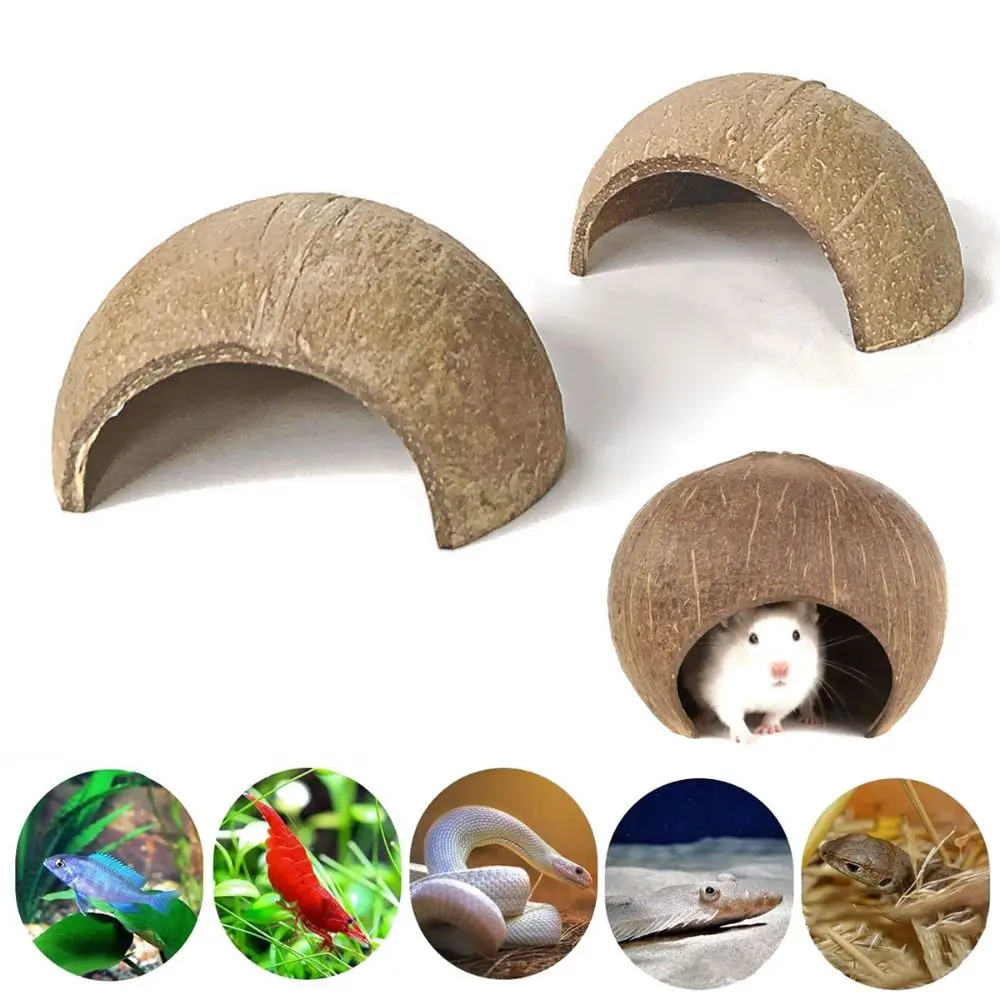 Natural Coconut Shell Coconut Shell Hamster Nest Bite-resistant Small Pet Guinea Pig Hideout Reptile Hide Habitat Guinea Pig