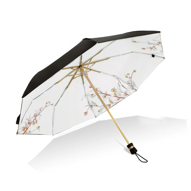 

Double Layer Automatic Umbrella Folding Women Rain Sun UV Protection Umbrella Windproof Travel Small Black Coating Fashion