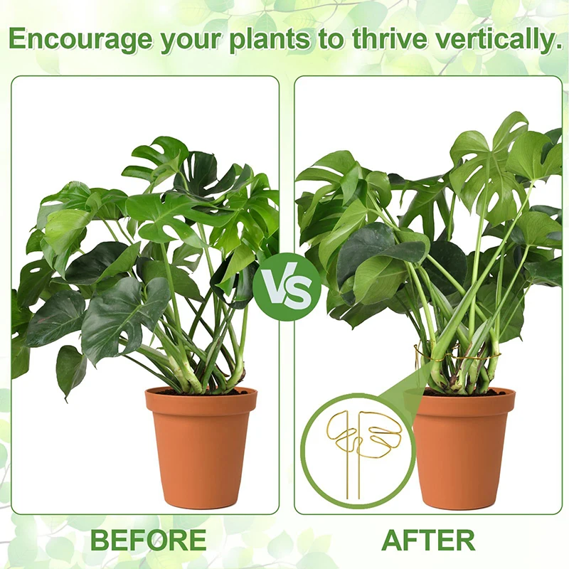 Poste de soporte para plantas en forma de Monstera, pila de soporte de aleación resistente, fácil instalación, soporte decorativo para plantas pequeñas y medianas