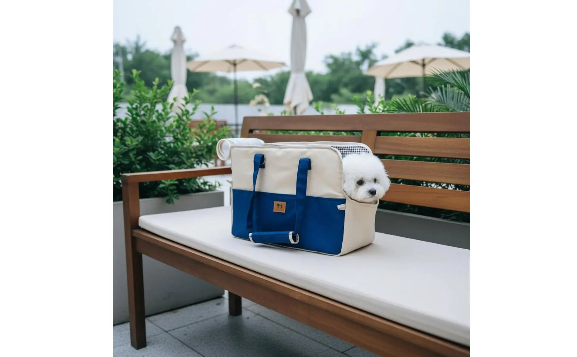 Pet Shoulder Carrier Car Seat Friendly Portable Dog Carrier Feline Travel Tote Lightweight Small Dog Tote Bag Adjustable Strap