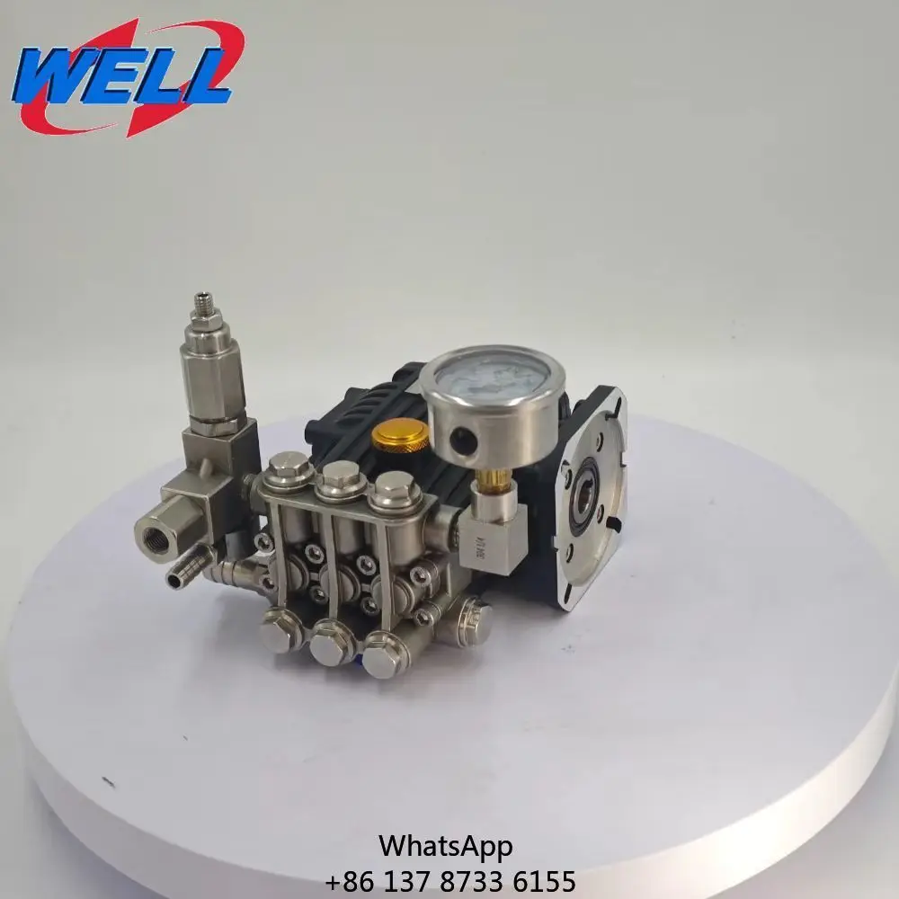 

WEITE 1206C 3190PSI (220 Bar) 0.74GPM Electric Stainless Steel Heavy Duty New High-pressure Cleaning Pump Car Wash Triplex