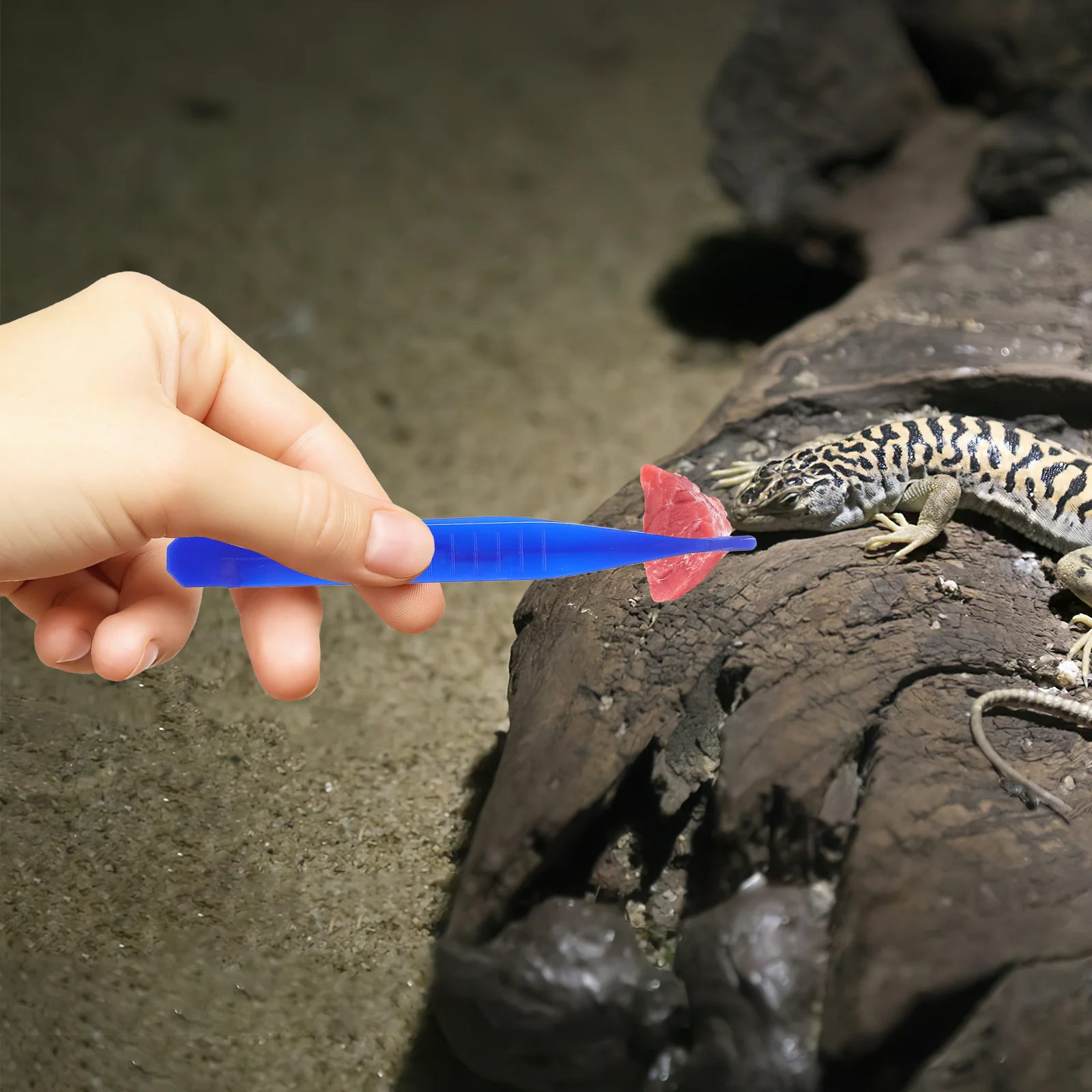 

6pcs Plastic Tweezer For Reptiles Feeding Scorpion Lizard Spider Pet Food Tool Reliable Clips Clamp Practical Supplies