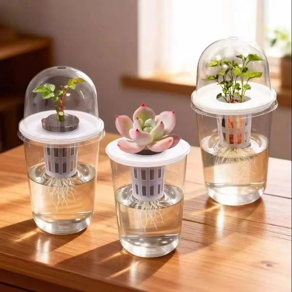 Plastic Root View Cups Visible Self Watering Hydroponic Planter Pots Transparent Cylindrical Planter Pots Observing Plant Roots