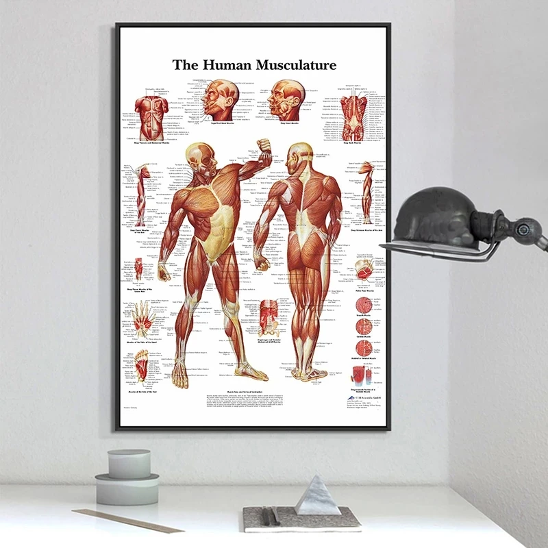 Poster Prints Human Body Analysis Acupuncture Science Medicine Wall Art Pictures Canvas Painting for Living Home Room Decoration