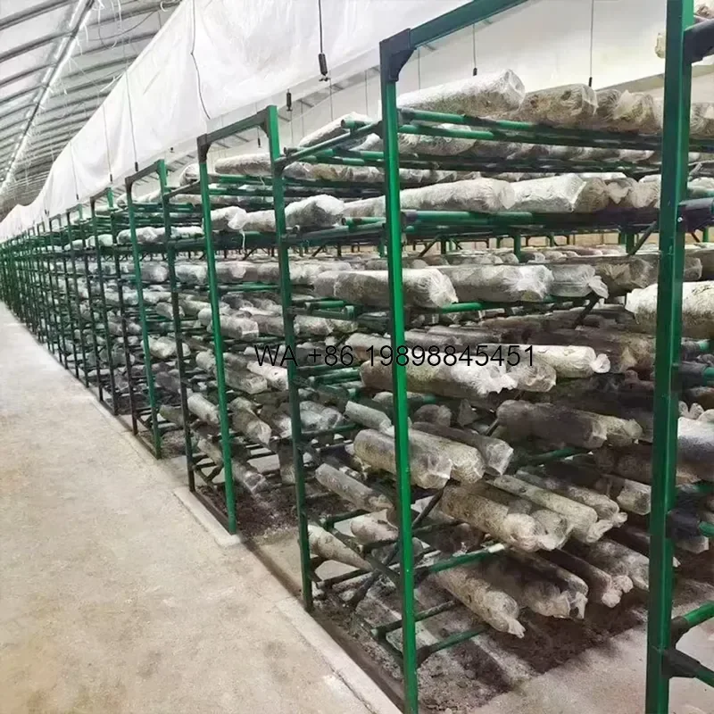 Wmwmnu Multi Layer Mushroom Growing System Indoor Vertical Farming Plant Shelves for Shiitake Oyster Reishi