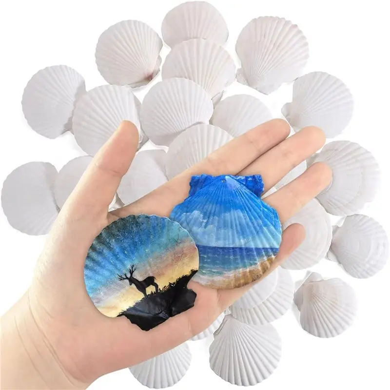 N10R-60 Pcs Natural Scallop Shells 2-3 Inch White Seashells For Crafts DIY Painting And Ocean Summer Beach Wedding Home