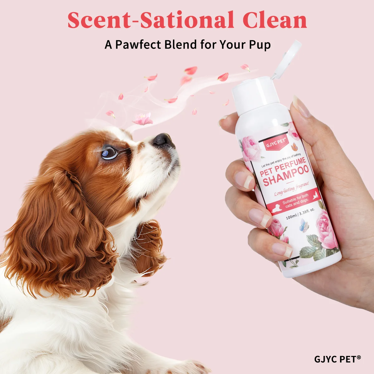 Perfumed Pet Shampoo for Dogs  - Perfume Fragrance Shampoo recensione e prezzo