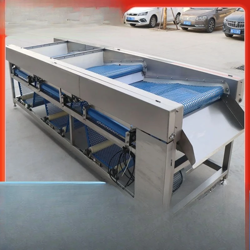 Belt punching diameter sorter Automatic vegetable and fruit sorting equipment Litchi sorter