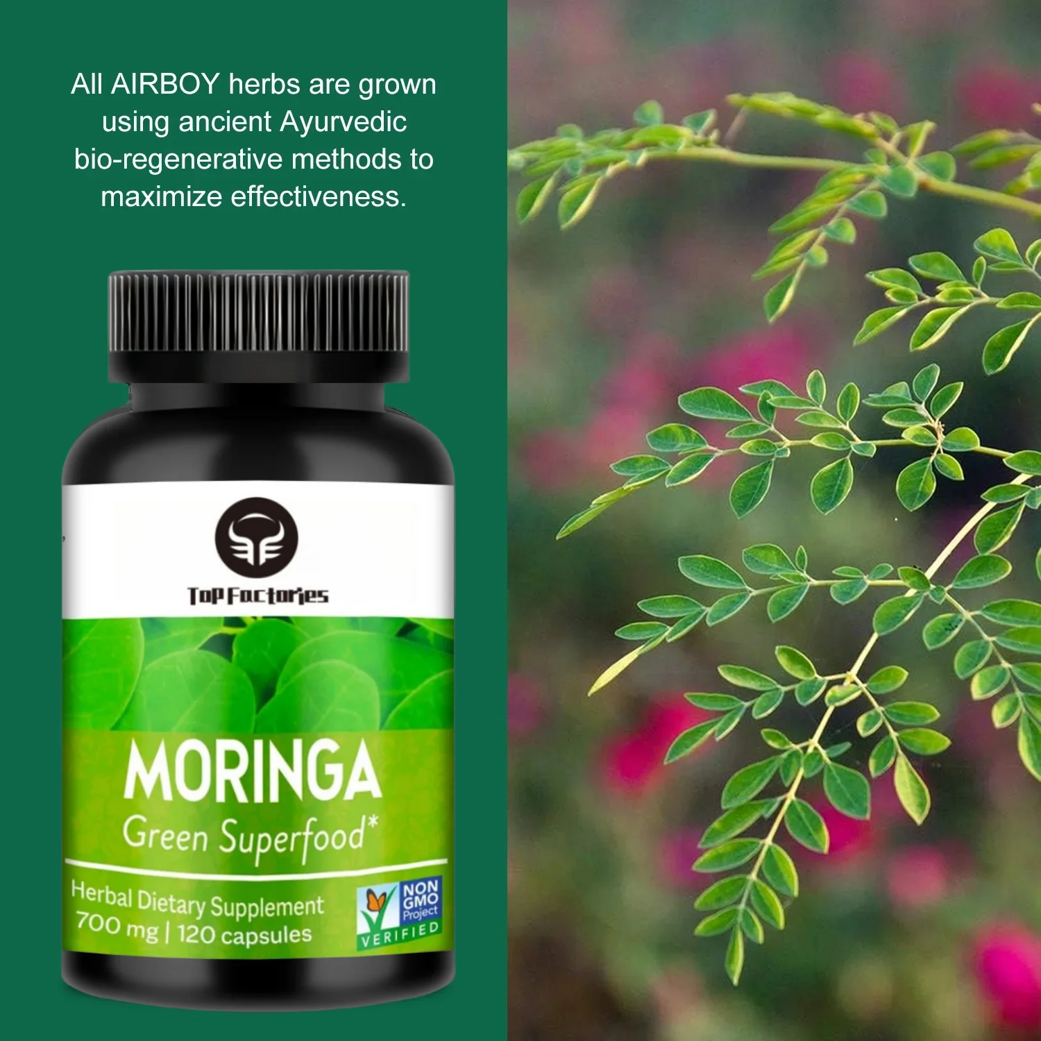 Top Factories Moringa Capsules 700mg Pure Organic Moringa Powder Supports Energy Boost & Gut