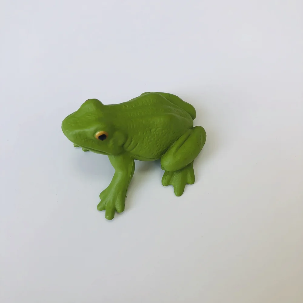 Ciclo de vida montessori de figuras de sapo e cartas de cognição, jogo de ciclo de crescimento animal, brinquedos de aprendizagem de biologia, educação precoce