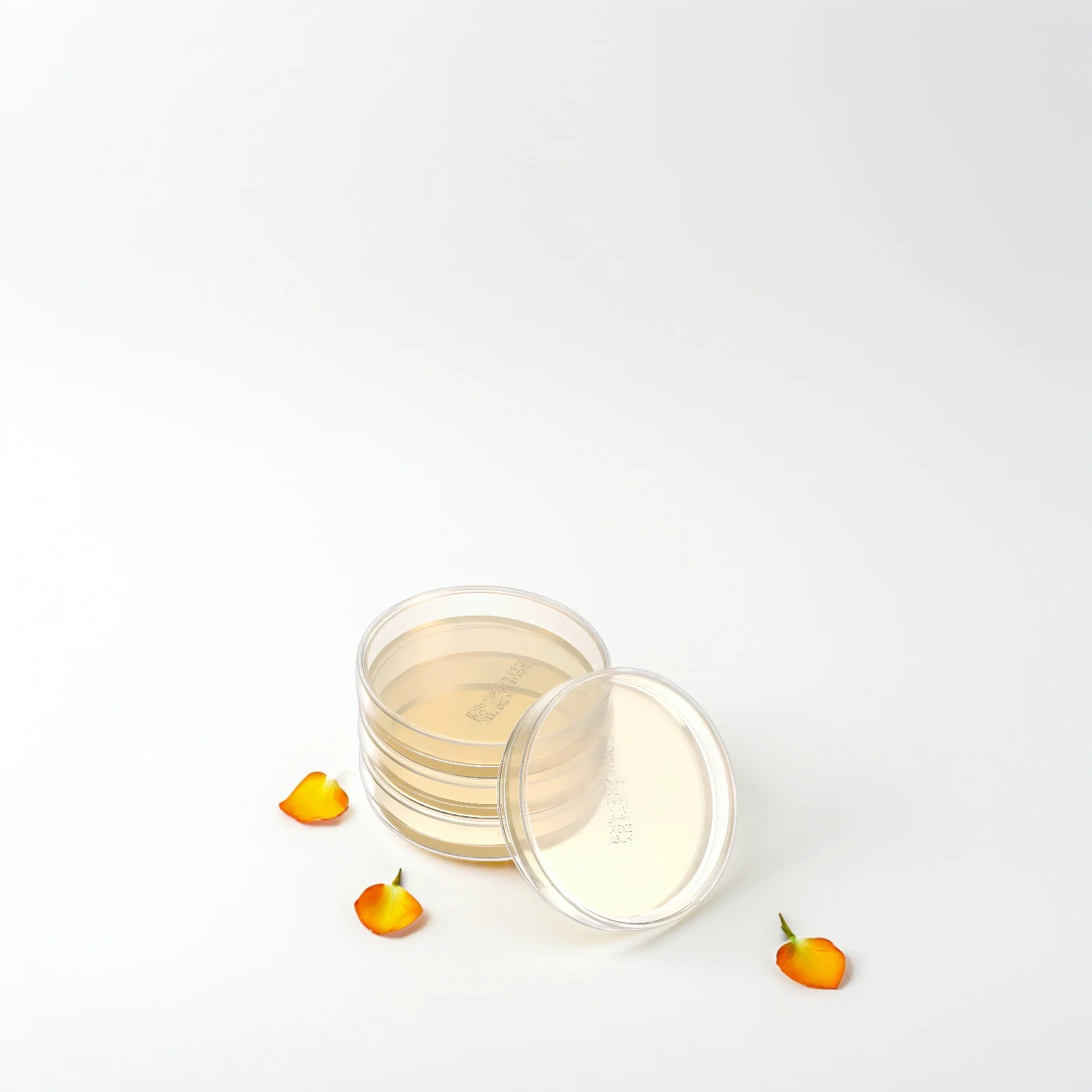 

10pcs Nutrient Agar Plates 7cm Microbiology Petri Dishes Science Experiment Supplies STEM Education Lab Tools
