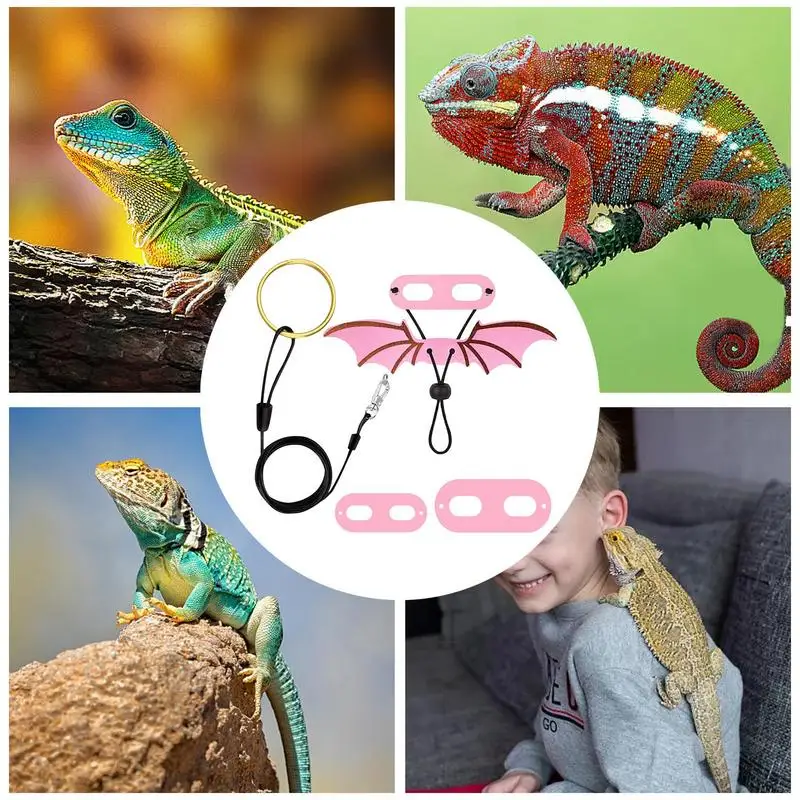 Adjustable Bearded Dragon Leash Harness Set Wings Costume Clothes From Baby To Juvenile Iguana Gecko Chameleon Walking