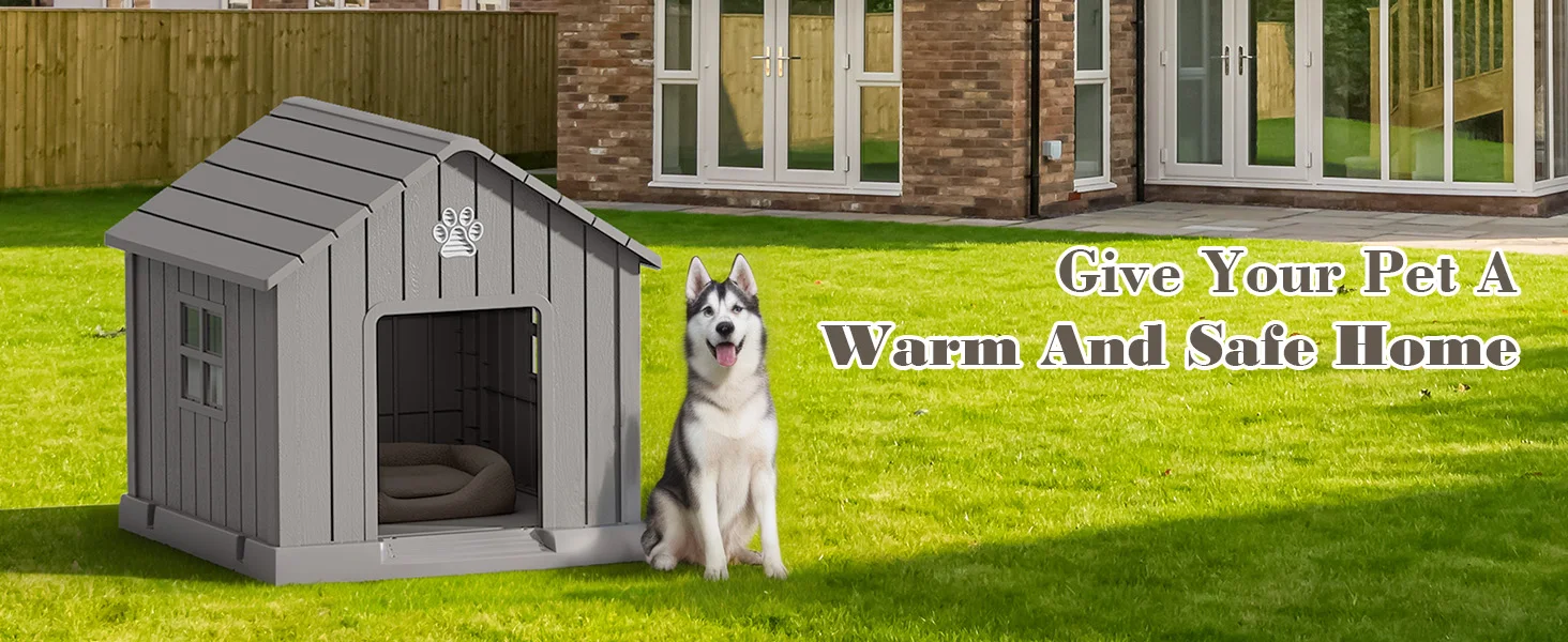 dog house
